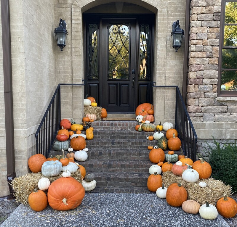 Pumpkin Package #1